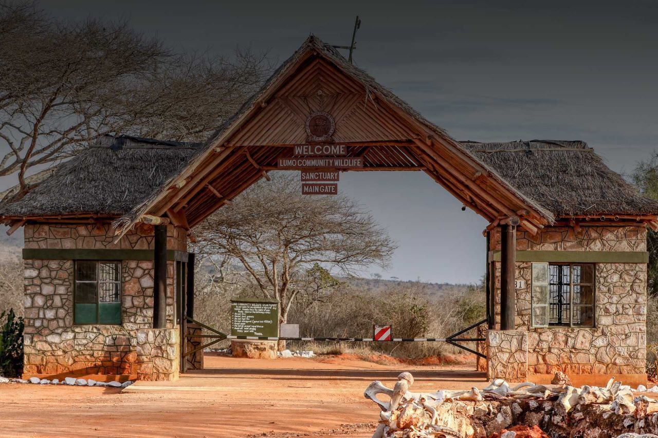 Lumo Conservancy & Taita Hills Self-Drive Group Tour