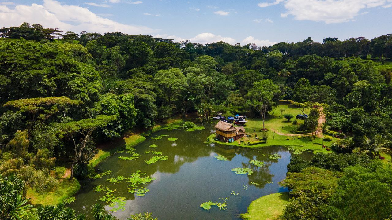 Kapsimotwa Gardens & Nandi Hills Self-Drive Group Tour