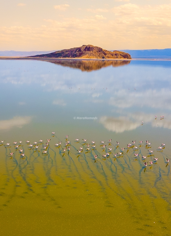 5-Day Lake Logipi Expedition